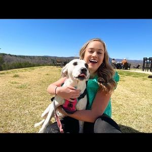 Meet your Posher, Bentley